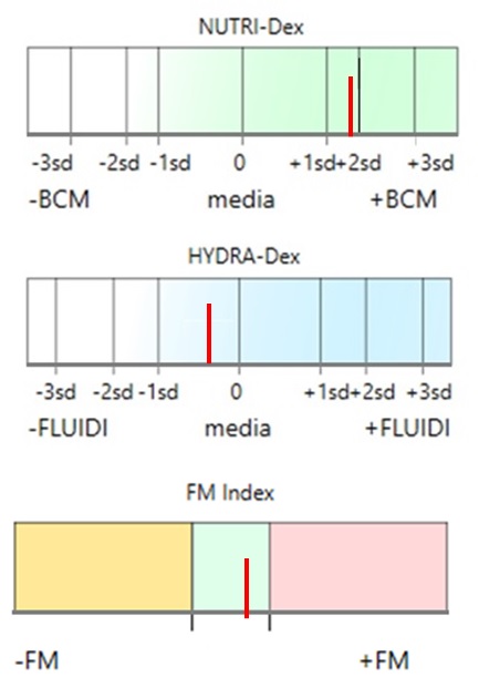 Grafici vettoriali nutrizione idratazione e Fm Index